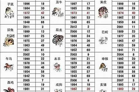 2005年属相|2005年属什么生肖 2005年属什么的生肖